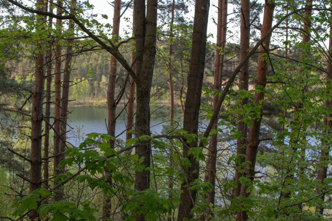 Gospodarstwo Agroturystyczne Nad Jeziorem Wsrod Lasow Lipnica  Exterior photo